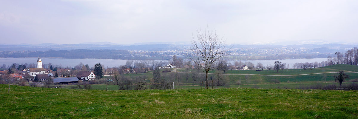 Greifensee Pfäffikersee